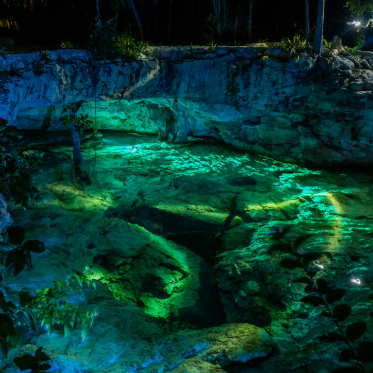 Sensacyjny senote na Jukatanie - krystalicznie czysta woda w naturalnej jaskini, otoczona bujną roślinnością i tajemniczym pięknem.